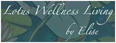 Massage, Energy Work, BodyMind Coaching in Sacramento Logo